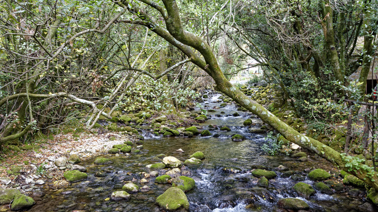 20221104 111203•Konavle•County of Dubrovnik-Neretva•Croatia